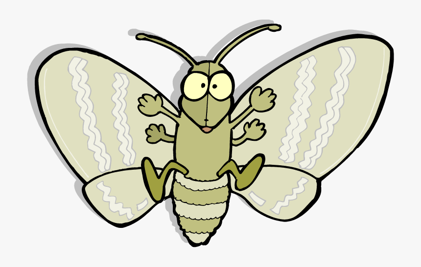 Download Moth Png Picture - Death Of Moth Cartoon, Transparent Png, Free Download