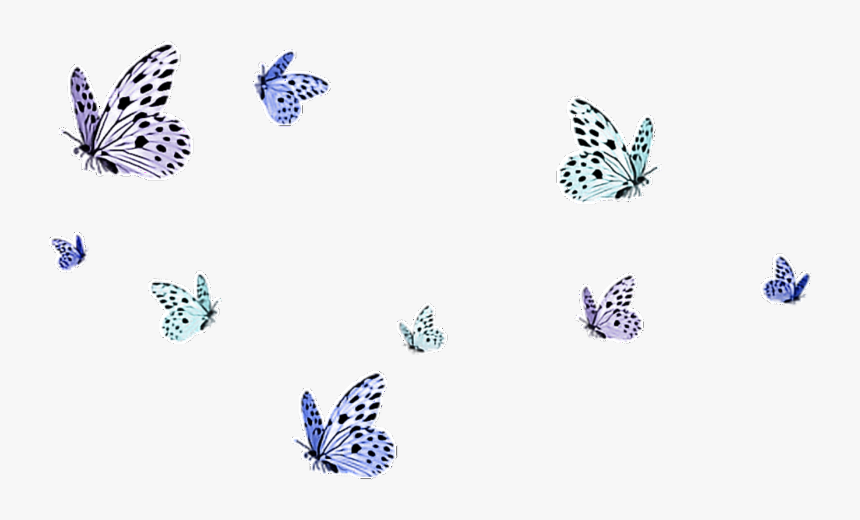 Moth Clipart Tumblr Transparent - Transparent Background Butterflies Png, Png Download, Free Download