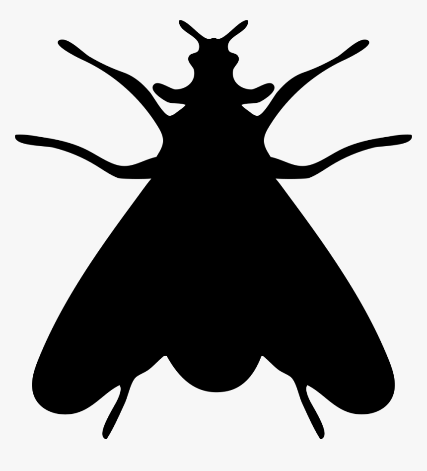 Moth Insect Shape - Fly Silhouette Png, Transparent Png, Free Download