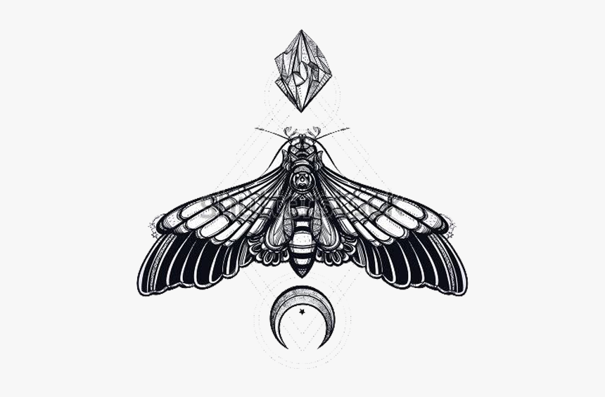 Tattoo Moth Bug Moon Design Drawing Idea Png Transparent