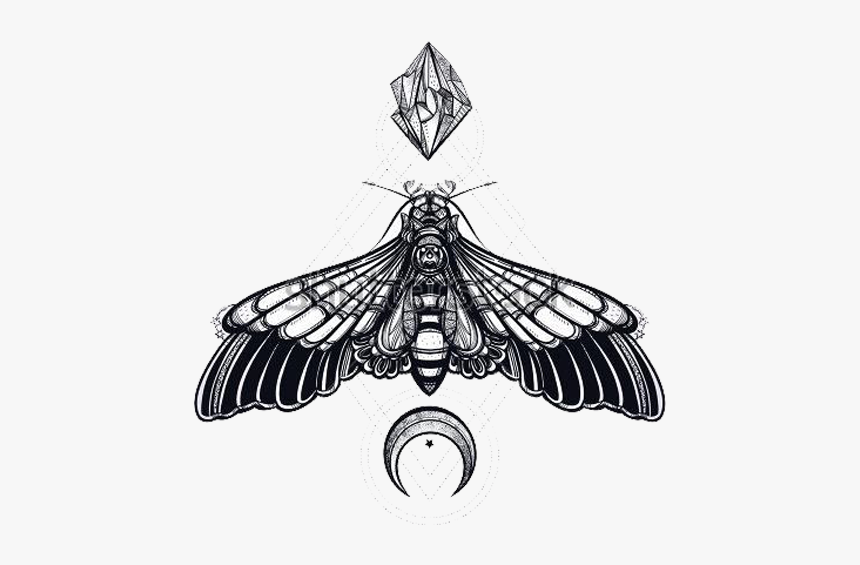 #tattoo #moth #bug #moon #design #drawing #idea #png - Transparent Deaths Head Moth, Png Download, Free Download