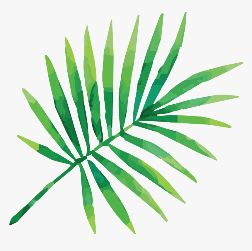 Cropped Bartboard - Tropical Leaves Vector Png, Transparent Png, Free Download