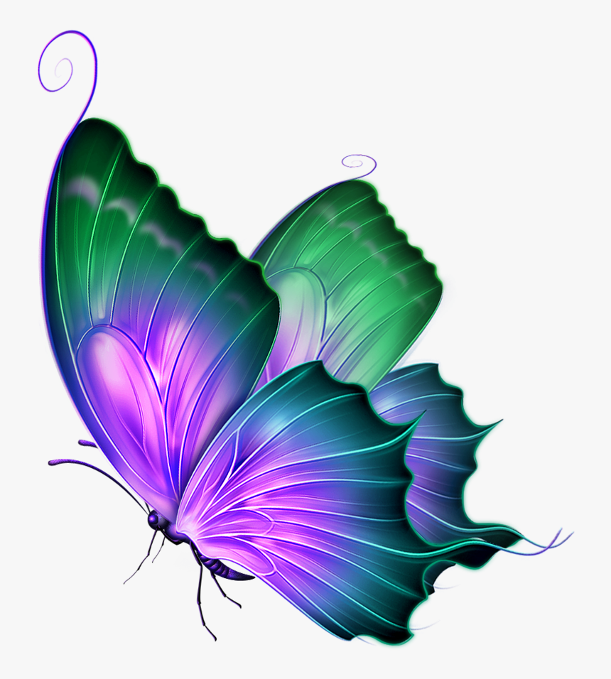 Transparent Background Butterfly Png, Png Download, Free Download