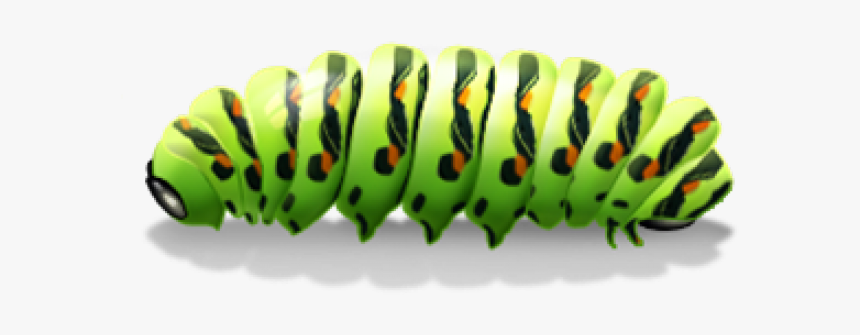 Caterpillar Png Transparent Images - Caterpillar Png, Png Download, Free Download