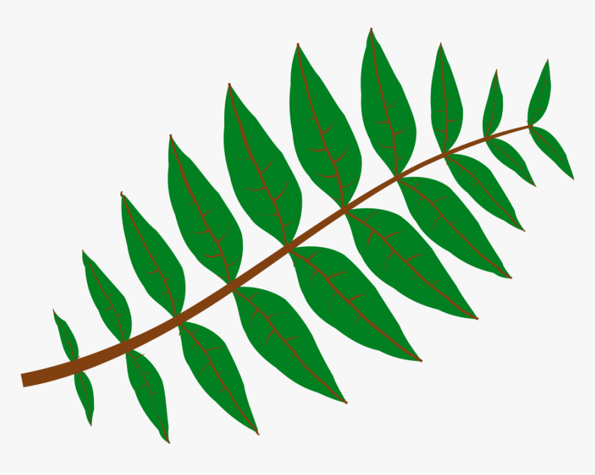 Jungle Leaves Clipart Png - Leaf Clip Art, Transparent Png, Free Download