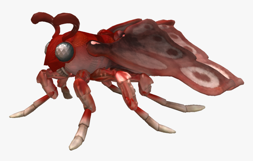 Human Body Louse, HD Png Download, Free Download