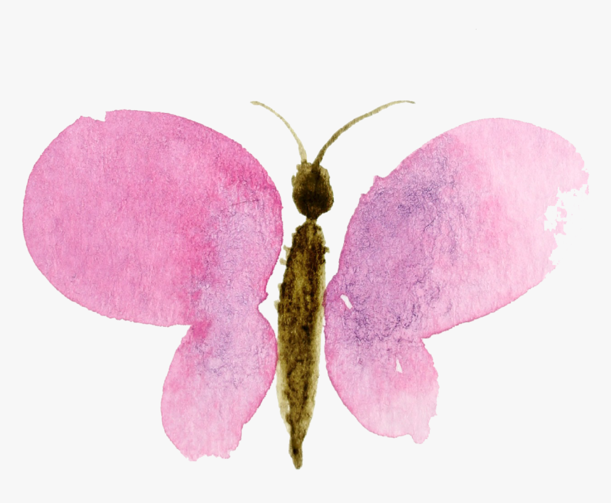 And - Butterfly Watercolor Clip Art, HD Png Download, Free Download