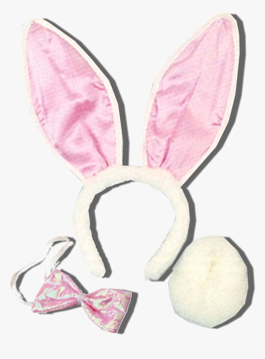 If You Have A Set Of Bunny Ears, That Will Be Fine - Bunny Ears Set Transparent, HD Png Download, Free Download