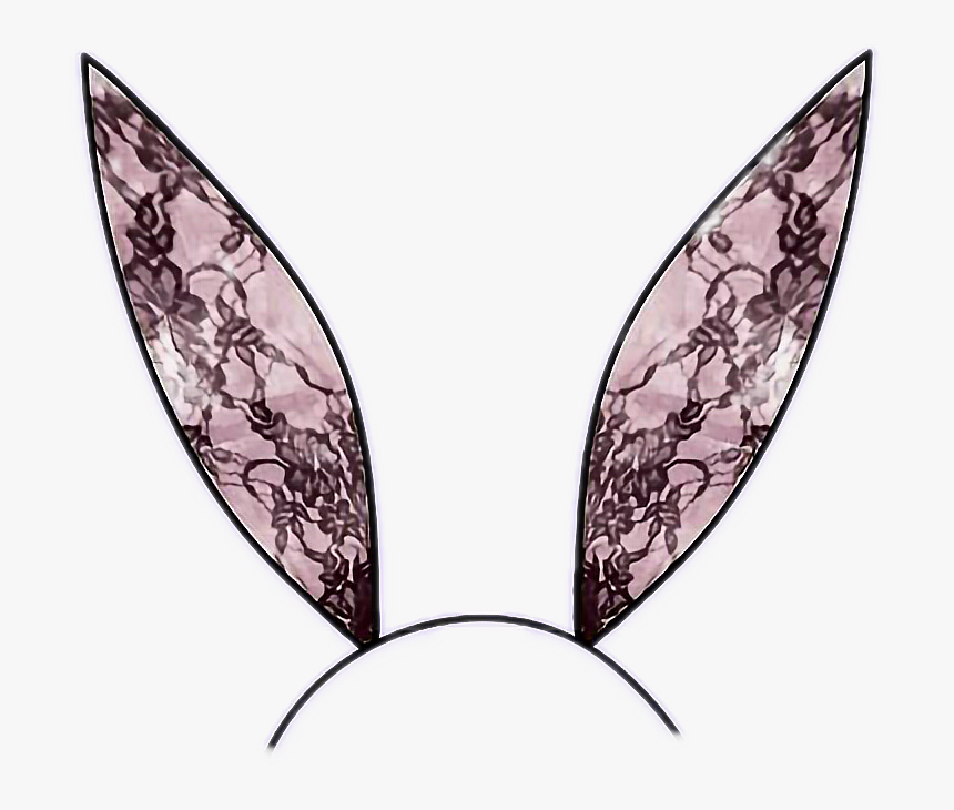 Bunnyears Black Pink Lace - Illustration, HD Png Download, Free Download