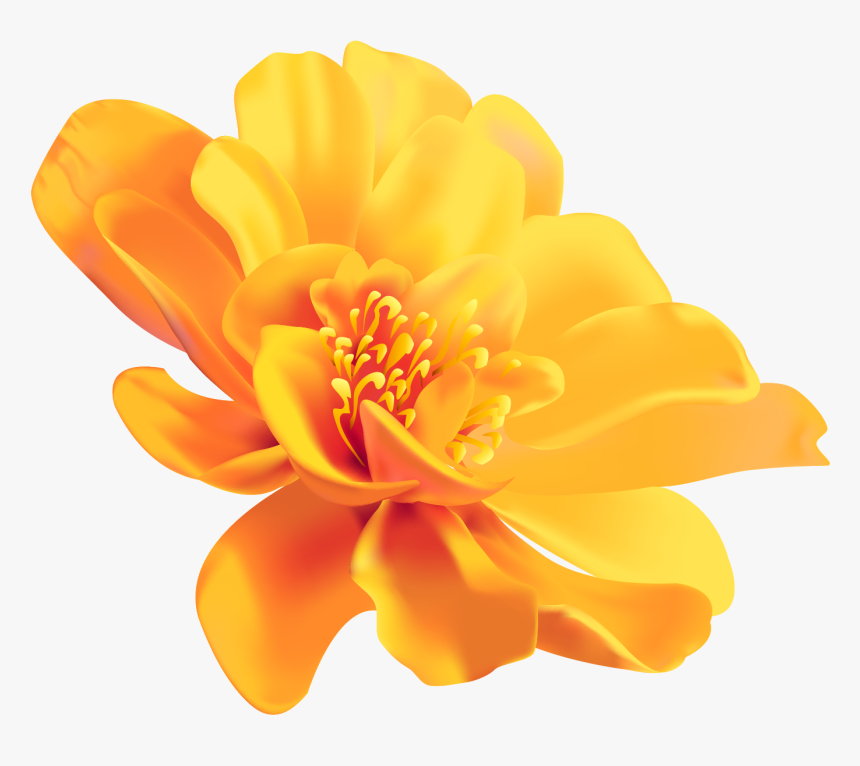 Yellow Flower Color Image Portable Network Graphics - Transparent Yellow Flower Png, Png Download, Free Download