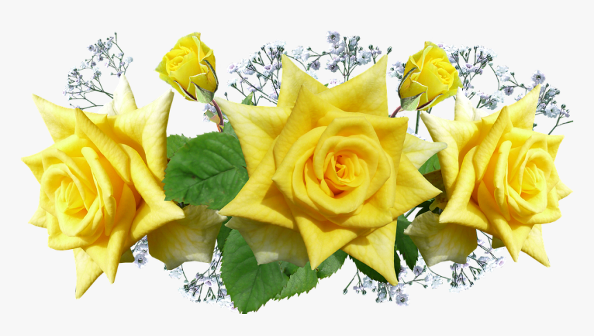 Roses, Yellow, Flowers, Decoration - Rosas Amarelas Em Png, Transparent Png, Free Download