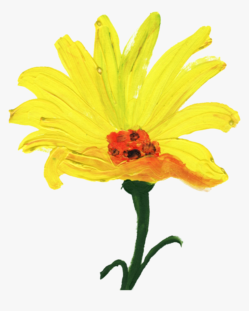 Flower Painting Yellow Png, Transparent Png, Free Download