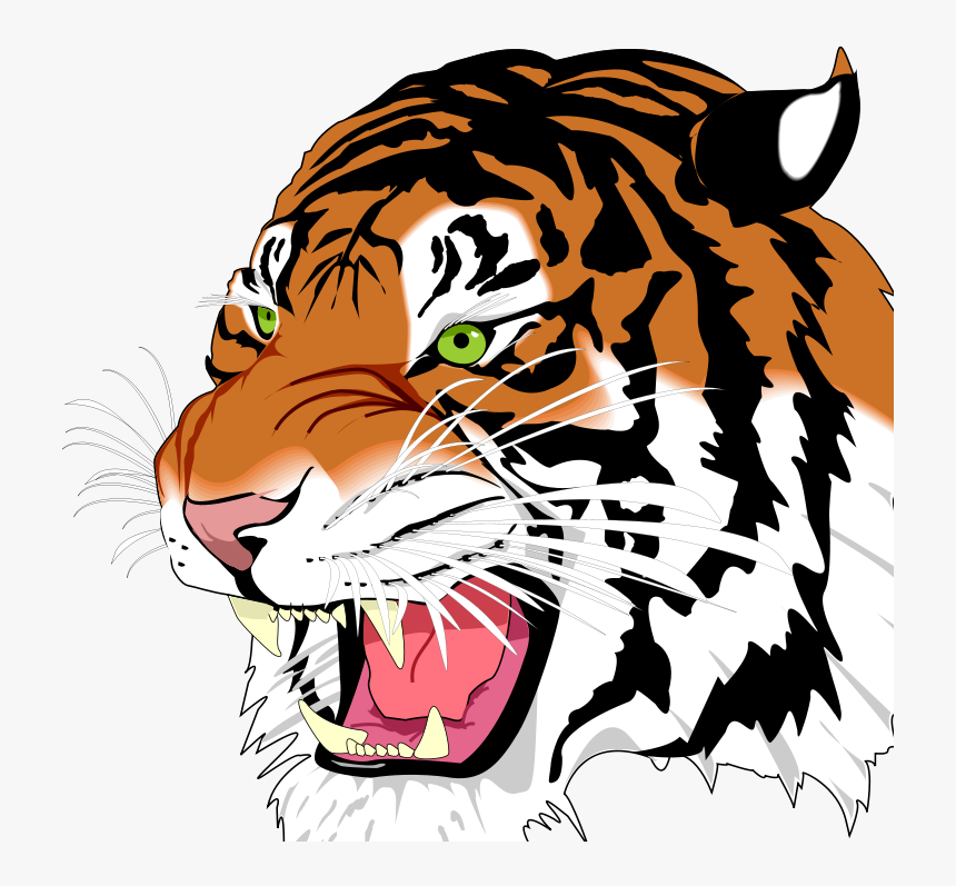White Tiger Png , Png Download - Svg Example, Transparent Png, Free Download