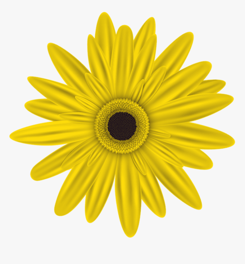 Free Png Yellow Flower Png Images Transparent - Transparent Background Pink Flower Clipart, Png Download, Free Download