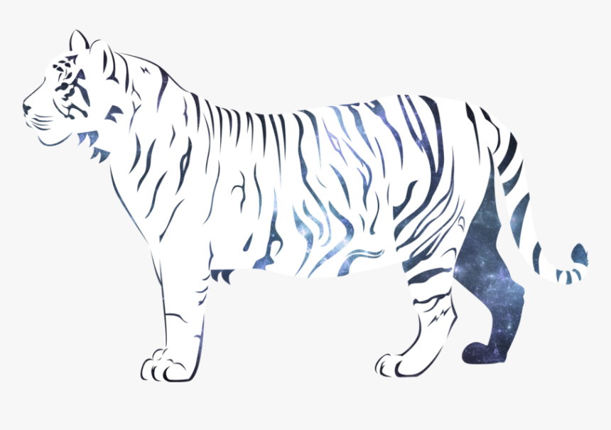 3 Kb, Backgrounds - White Tiger Transparent Background, HD Png Download, Free Download