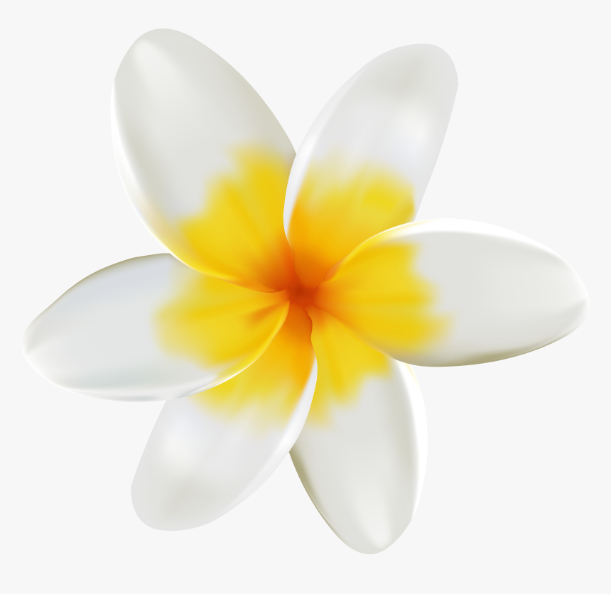 Yellow Flower Clipart Tropical - Plumeria Png, Transparent Png, Free Download