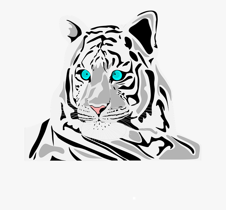 White, Tiger, Stripe - Siberian Tiger, HD Png Download, Free Download