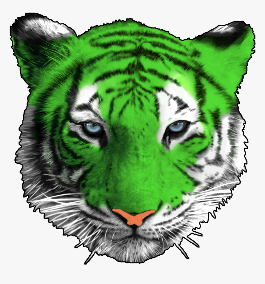 Green Tiger Png - White Tiger Poster, Transparent Png, Free Download