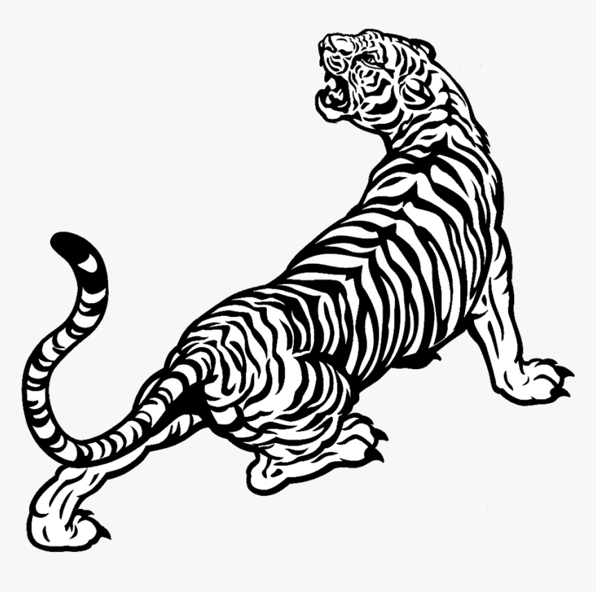 Tigers Drawing Old - Tiger Black And White Png, Transparent Png, Free Download