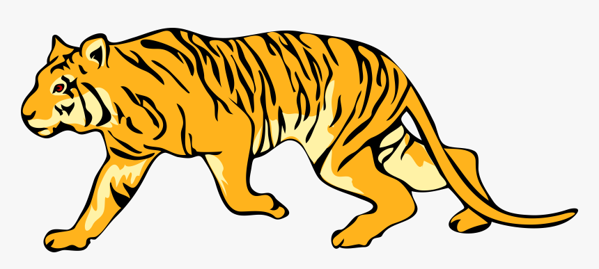 Carnivoran,yellow,lion - Transparent Background Tiger Clipart, HD Png Download, Free Download