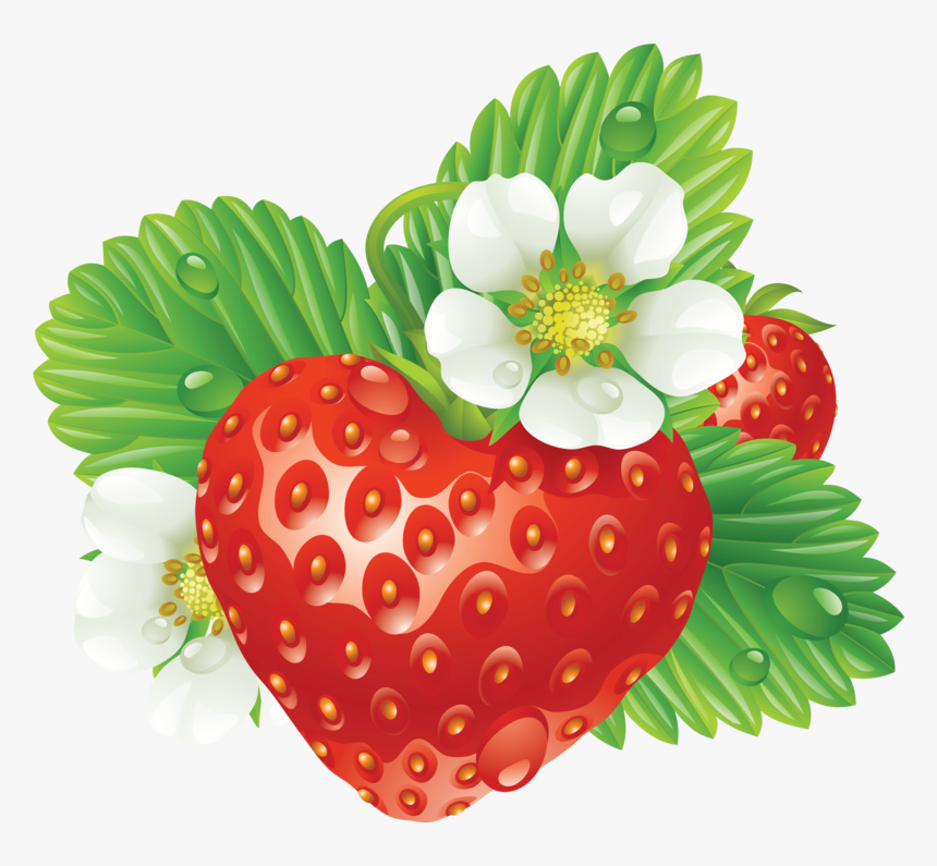 Strawberry Png Images - Vector Strawberry, Transparent Png, Free Download
