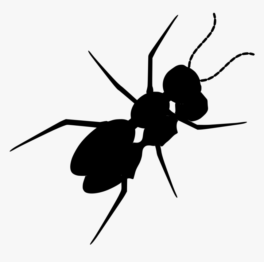 Ant , Png Download - Ant Clip Art, Transparent Png, Free Download