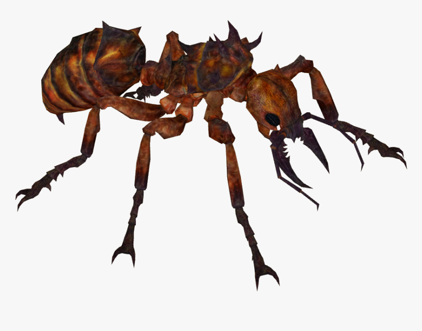 Giant Ant - Giant Ant Png, Transparent Png, Free Download