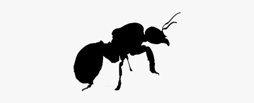 Queen Ant Png Transparent Images - Silhouette, Png Download, Free Download