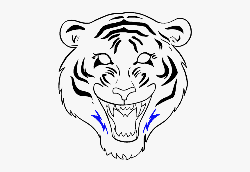 Tiger Drawings - Tiger Face Drawing Easy, HD Png Download, Free Download