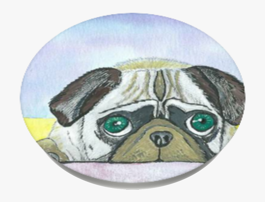 Pug, HD Png Download, Free Download