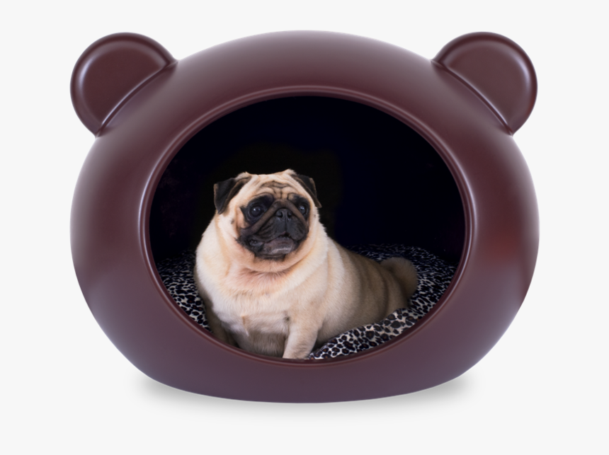 Plastic Dog Bed - Pug, HD Png Download, Free Download