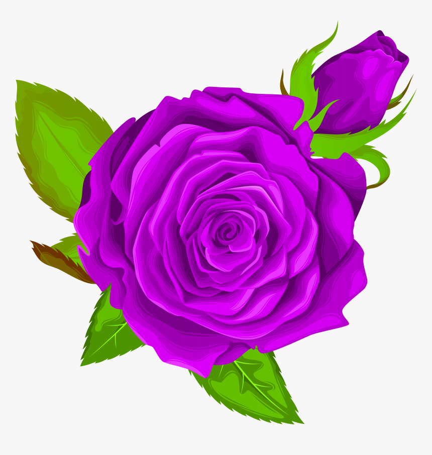 Transparent Rose Clipart Png, Png Download, Free Download