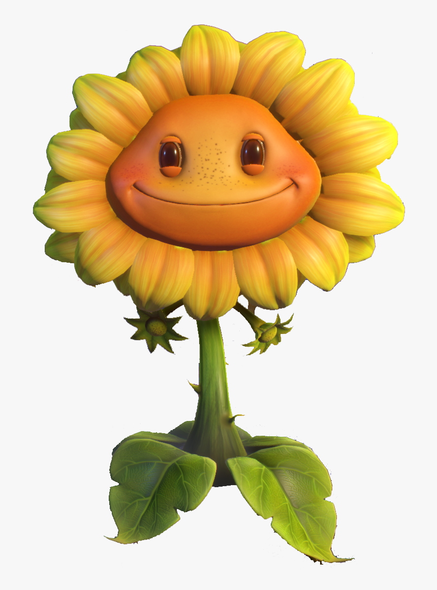 Transparent Garden Plants Png - Plants Vs Zombies Gw2 Sunflower, Png Download, Free Download