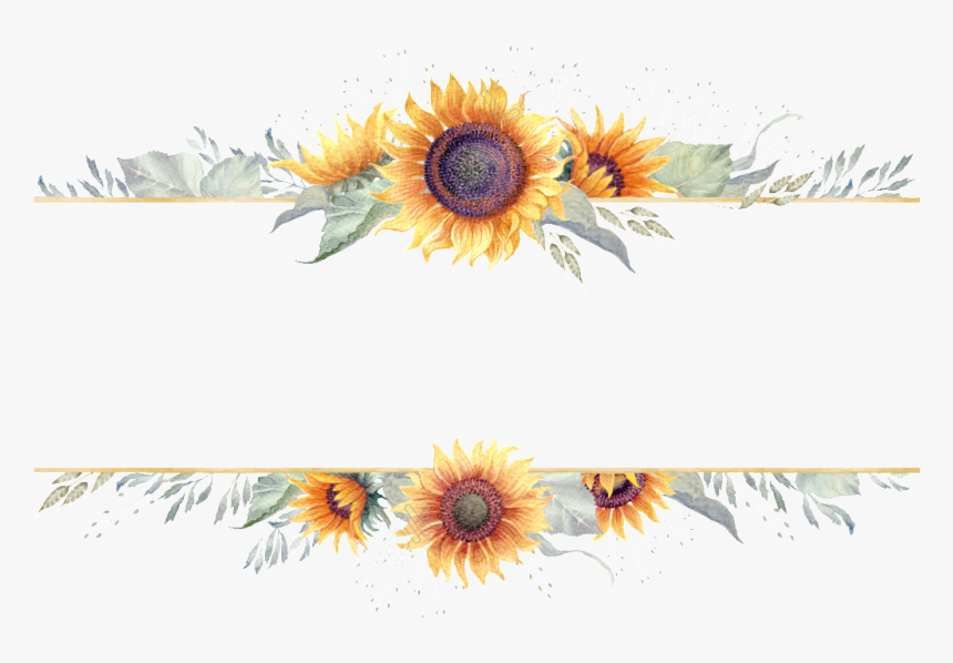 Sunflower Border Png - Transparent Background Sunflower Border, Png Download, Free Download