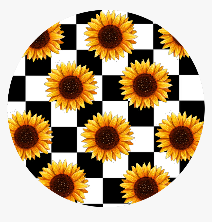 Transparent Checker Board Clipart - Aesthetic Stickers Sunflowers, HD Png Download, Free Download