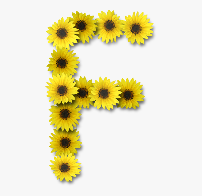 Sunflowers Png Alamat Ng - E Letter With Sun Flower, Transparent Png, Free Download