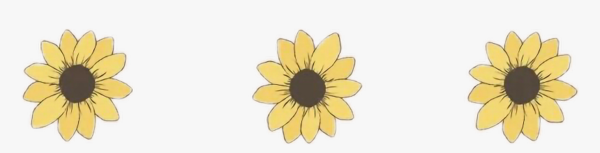 Transparent Aesthetic Flower Png - Simple Aesthetic Drawing Sunflower, Png Download, Free Download