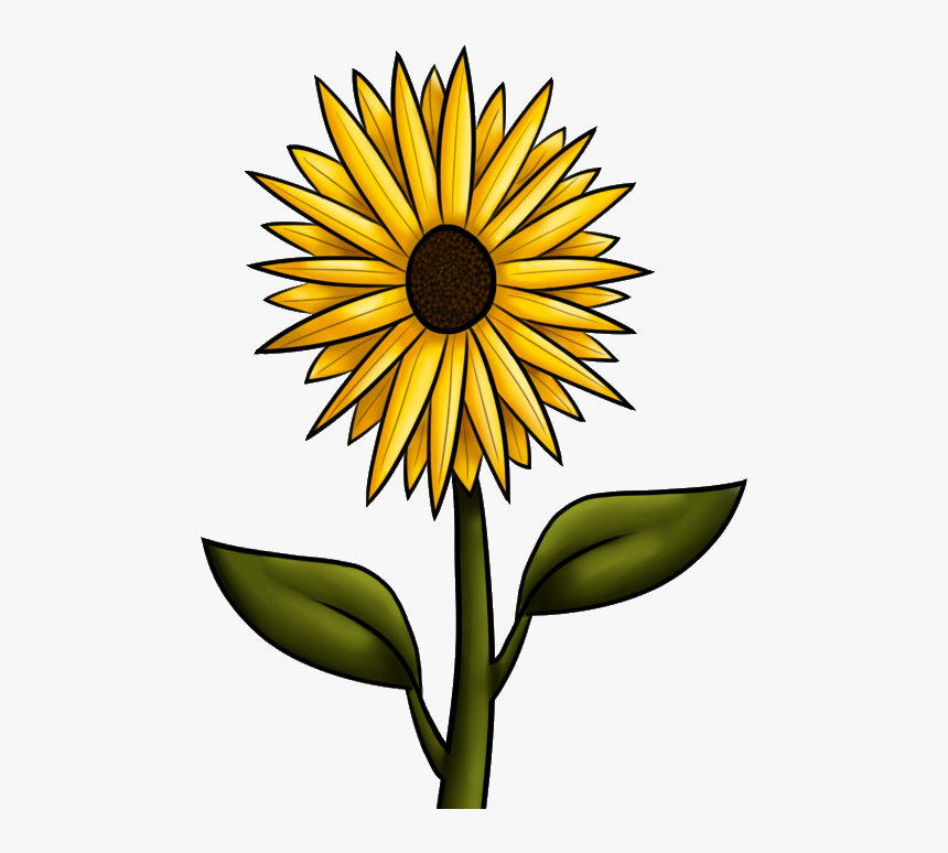 10 Best Images Of Fall Sunflower Clip Art - Tallo De Girasol Png, Transparent Png, Free Download