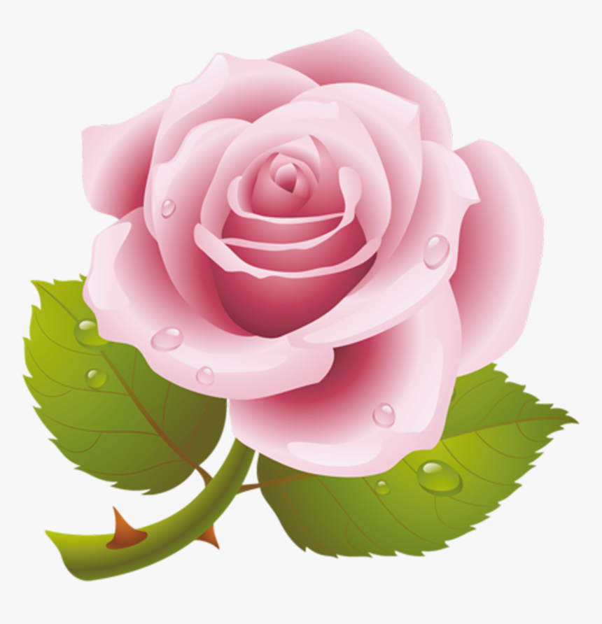 Rosas Rosa Png With Transparent Background - Rosas Rosa Png, Png Download, Free Download