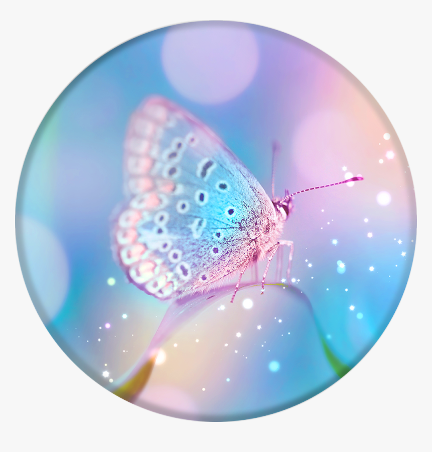 Popsockets Grip Pixie Dust, Popsockets - Beautiful White Butterfly, HD Png Download, Free Download