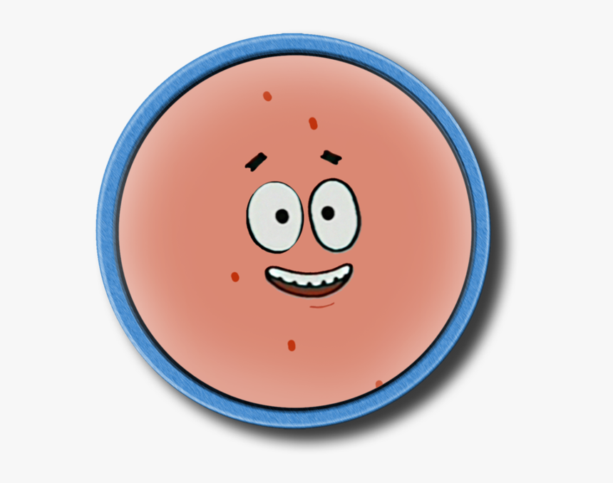 Patrick Star Icon By Slamiticon - Patrick Star The Hoe, HD Png Download, Free Download