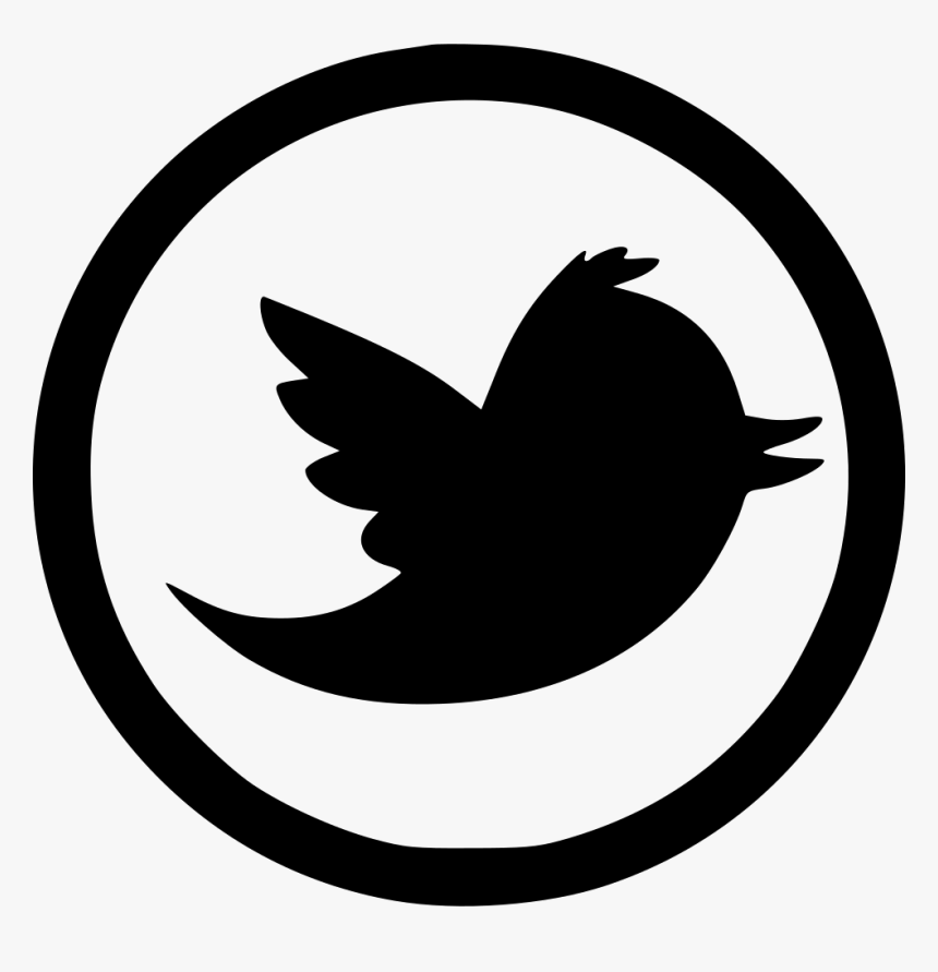 Twitter Transparent Twitter Icon Vector HD Png Download Kindpng