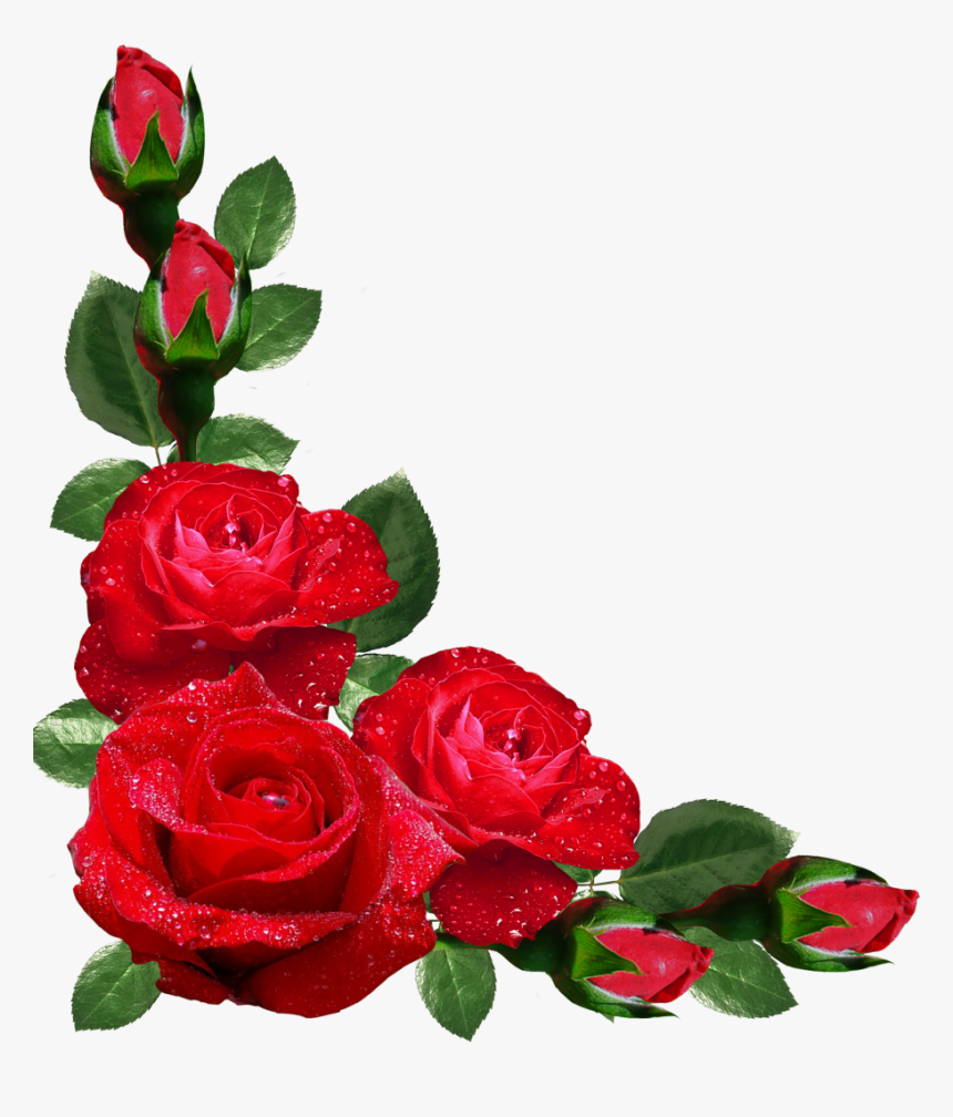 Red Roses Border Png - Rose Corner Border Png, Transparent Png, Free Download