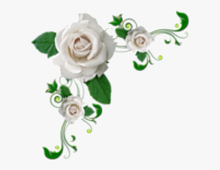 White Rose Corner Clipart - White Flower Corner Png, Transparent Png, Free Download