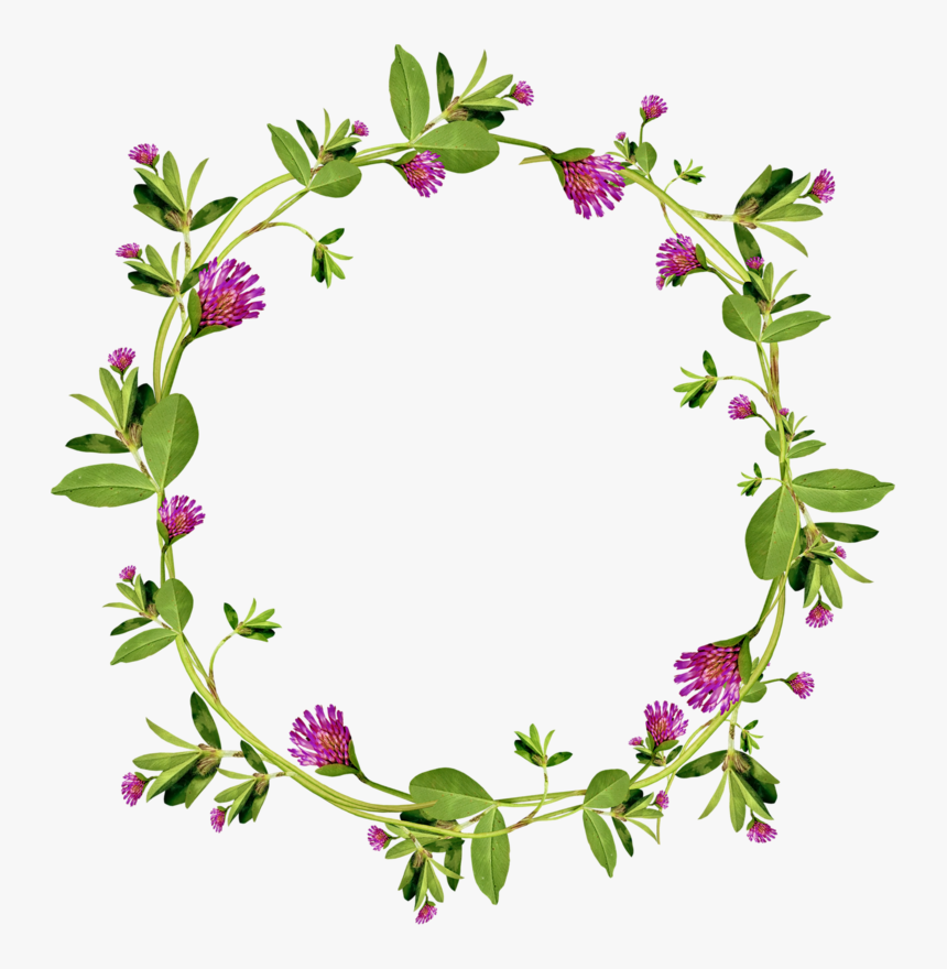 Garland Floral Design Wreath - Floral Wreath Free No Background, HD Png Download, Free Download