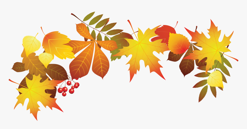 Autumn Leaf Color Clip Art - Transparent Background Fall Leaves Clipart, HD Png Download, Free Download