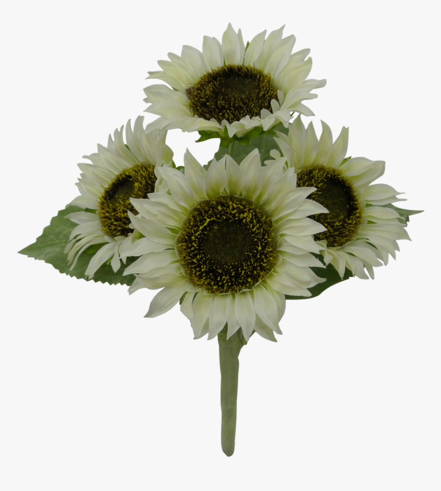 11 - Bouquet, HD Png Download, Free Download