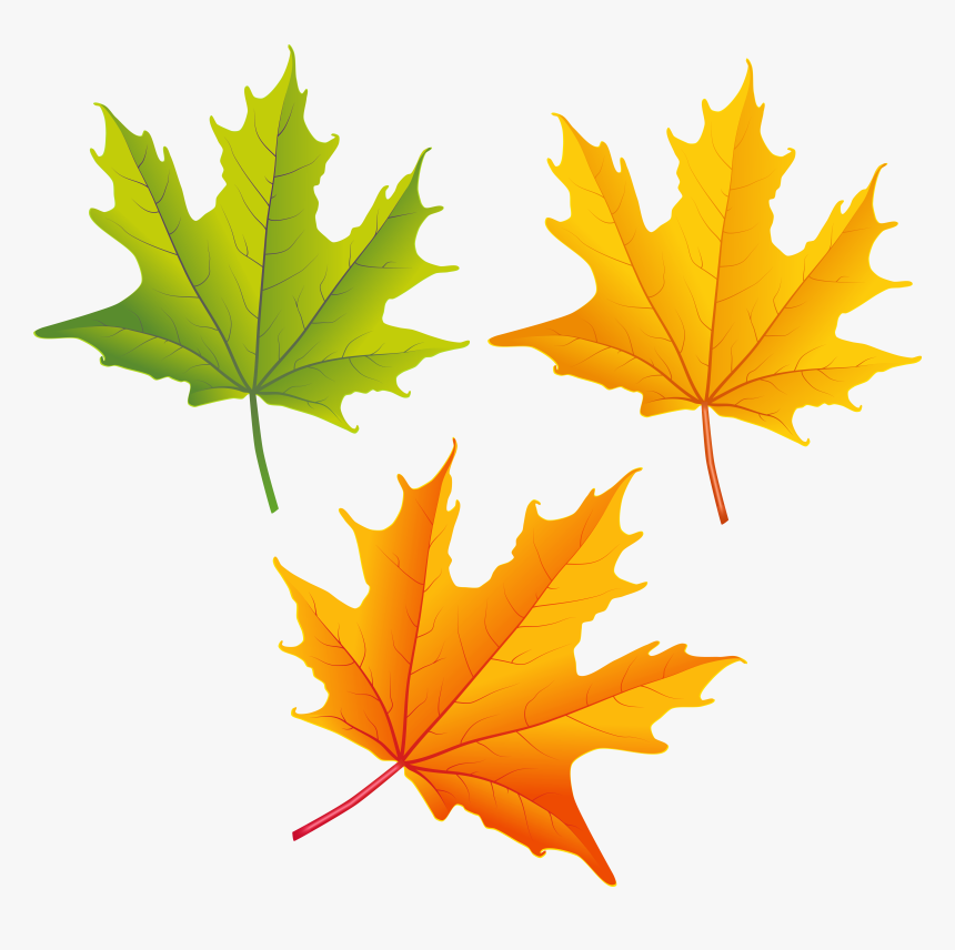 Top 82 Autumn Leaf Clip Art Free Clipart Image - Fall Leaves Free Clip Art, HD Png Download, Free Download