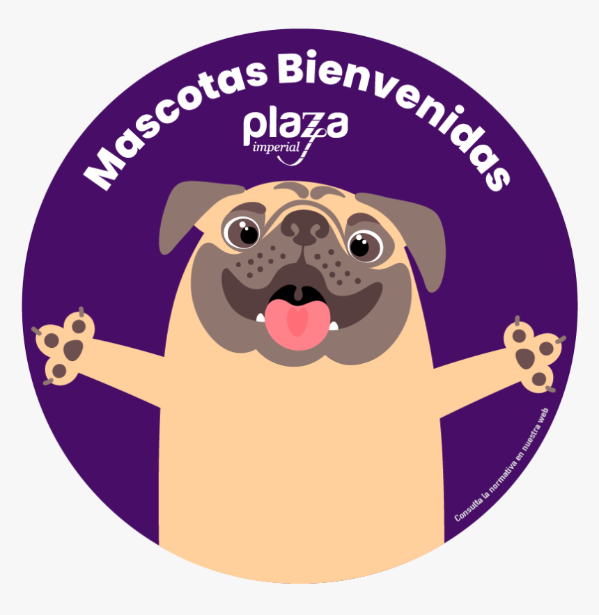 Mascotas - Jpeg, HD Png Download, Free Download