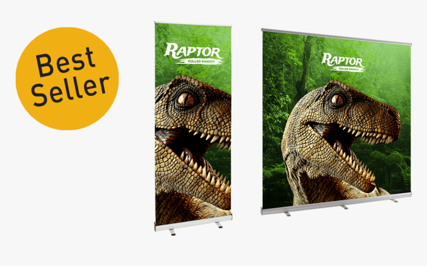 Arrow Print Pull Up Banner - Lesothosaurus, HD Png Download, Free Download